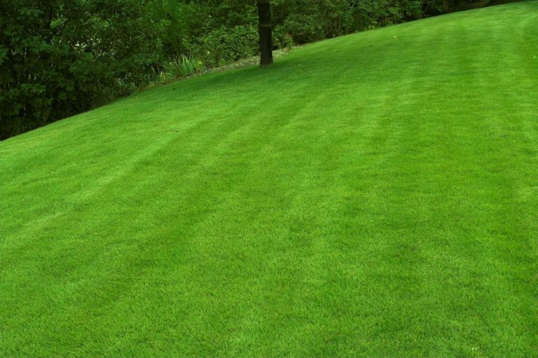 How to maintain a sloping garden ESB Flooring