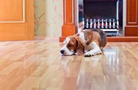 wood-flooring-for-pet-wners