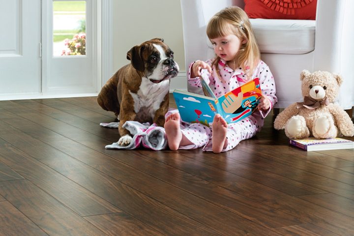 wood-flooring-for-pet-owners|wood-flooring-for-pet-wners