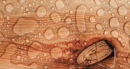 wood-flooring-moisture